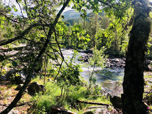 iNelloP | Impressionen. | Kunstfotograf auf alleFotografen