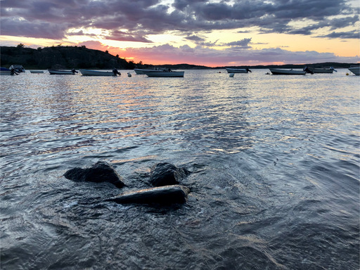 iNelloP | Impressionen. | Kunstfotograf auf alleFotografen