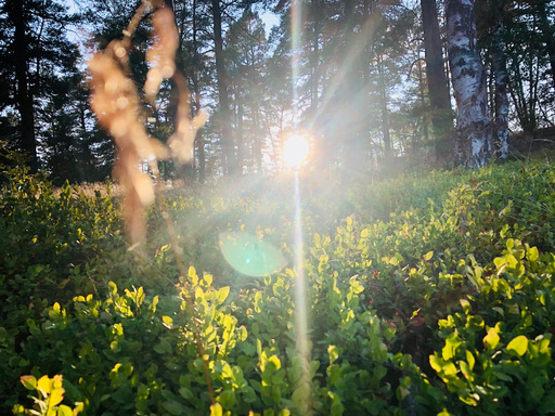 iNelloP | Impressionen. | Architekturfotograf auf alleFotografen