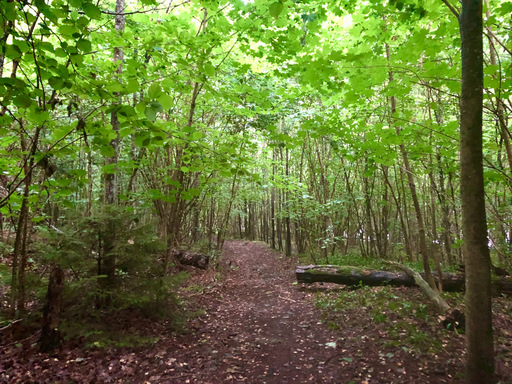 iNelloP | Impressionen. | Kunstfotograf auf alleFotografen