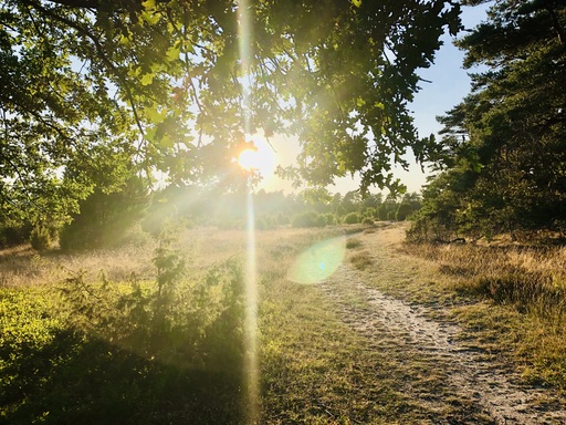 iNelloP | Impressionen. | Architekturfotograf auf alleFotografen