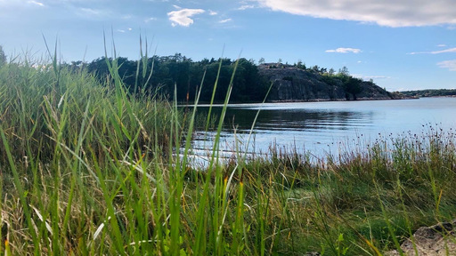 iNelloP | Impressionen. | Kunstfotograf auf alleFotografen