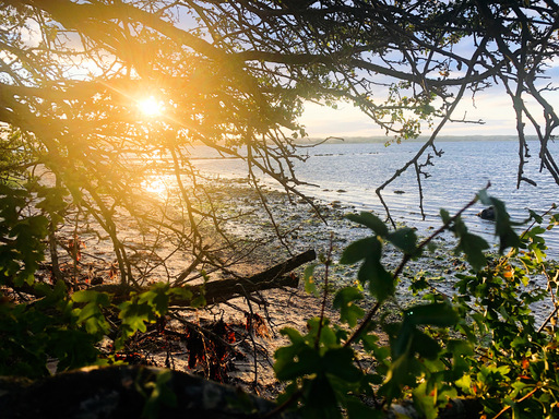 iNelloP | Impressionen. | Kunstfotograf auf alleFotografen