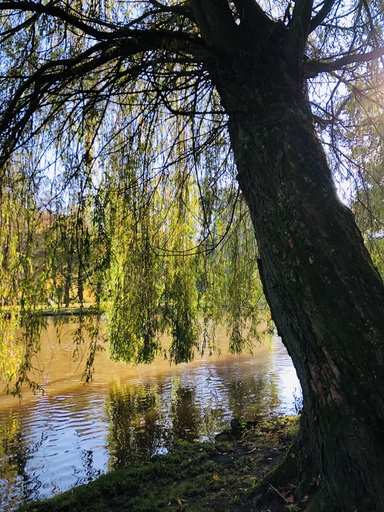 iNelloP | Impressionen. | Architekturfotograf auf alleFotografen