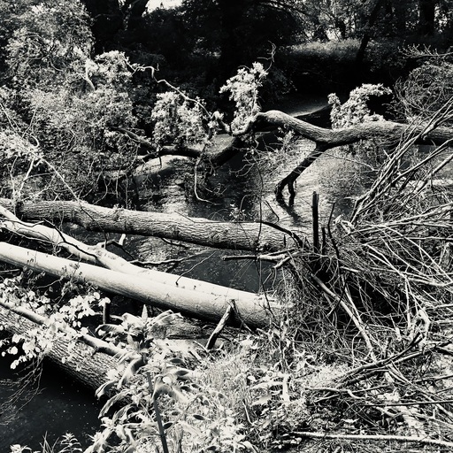 iNelloP | Impressionen. | Kunstfotograf auf alleFotografen