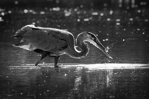 Michael Hechler Nature Photography | Portfolio | Luftbildfotograf auf alleFotografen