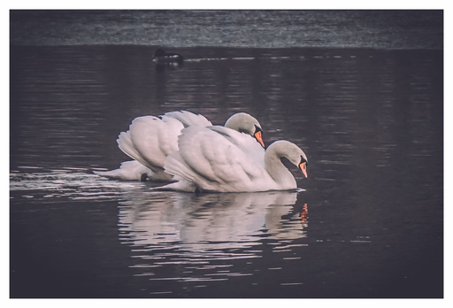 Ahnithing Photography | Natur | Konzertfotograf auf alleFotografen