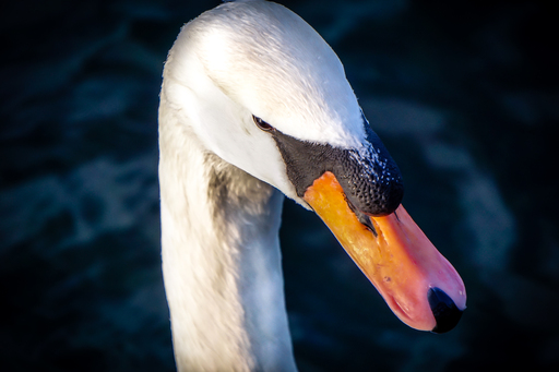 Ahnithing Photography | Natur | Landschaftsfotograf auf alleFotografen