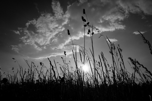 Ahnithing Photography | Natur | Imagefotograf auf alleFotografen