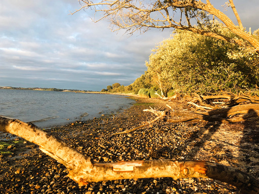 iNelloP | Strand. | Industriefotograf auf alleFotografen