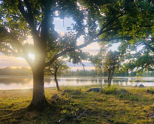 iNelloP | Sonne. | Landschaftsfotograf auf alleFotografen