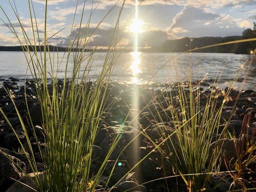 iNelloP | Sonne. | Architekturfotograf auf alleFotografen