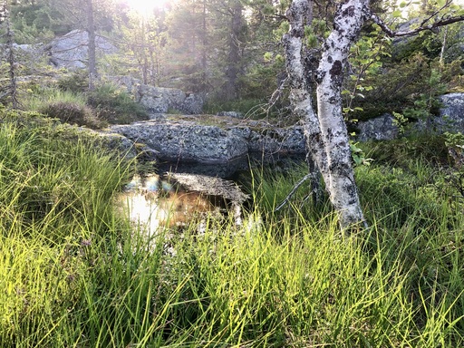 iNelloP | Sonne. | Architekturfotograf auf alleFotografen