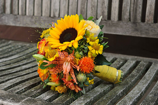 Melona - Fotografie | Hochzeit | Paarfotograf auf alleFotografen