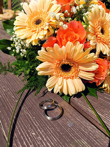 Melona - Fotografie | Hochzeit | Paarfotograf auf alleFotografen