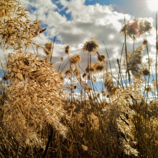 Melona - Fotografie | Reisen und Architektur | Architekturfotograf auf alleFotografen