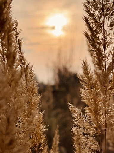 Sandra Heiber | Seelenfotos | Landschaftsfotograf auf alleFotografen