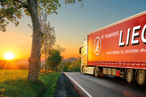 photoINstyle - Birgit Steinberger | Industrie | Konzertfotograf auf alleFotografen