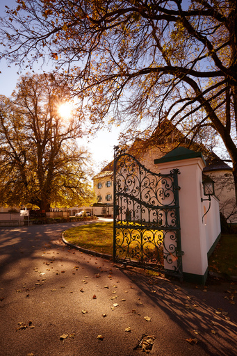 photoINstyle - Birgit Steinberger | Hotel, Gastro & Food | Konzertfotograf auf alleFotografen
